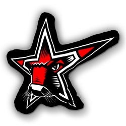 Starbulls - Logokissen
